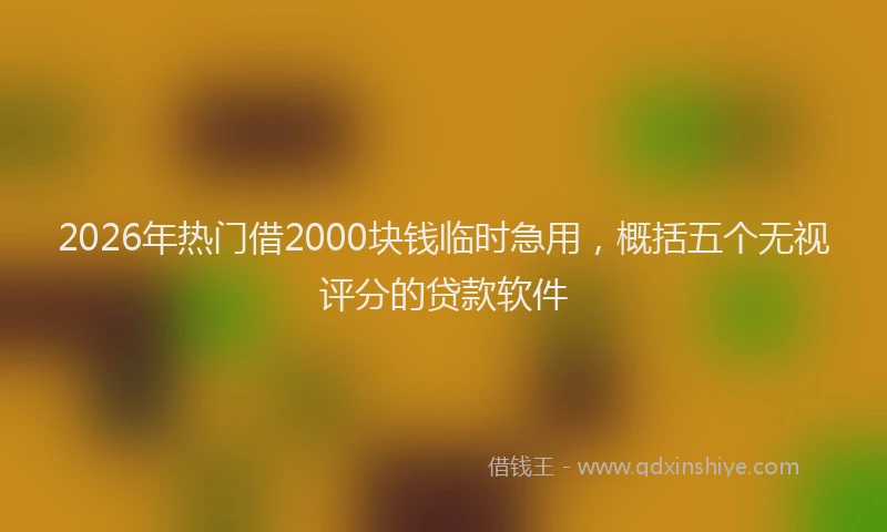 2026年热门借2000块钱临时急用，概括五个无视评分的贷款软件