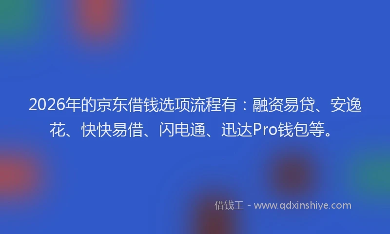 2026年的京东借钱选项流程有：融资易贷、安逸花、快快易借、闪电通、迅达Pro钱包等。