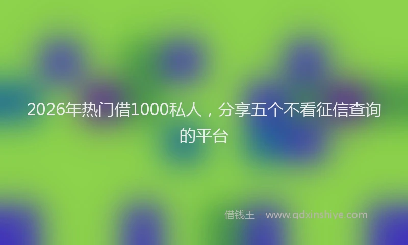 2026年热门借1000私人，分享五个不看征信查询的平台