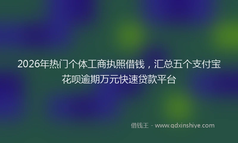 2026年热门个体工商执照借钱，汇总五个支付宝花呗逾期万元快速贷款平台