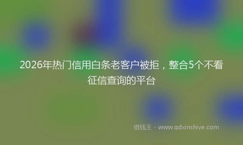 2026年热门信用白条老客户被拒，整合5个不看征信查询的平台