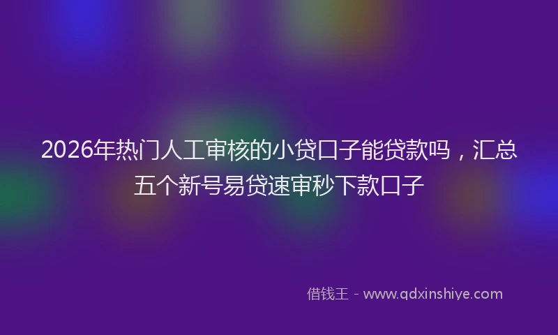 2026年热门人工审核的小贷口子能贷款吗，汇总五个新号易贷速审秒下款口子