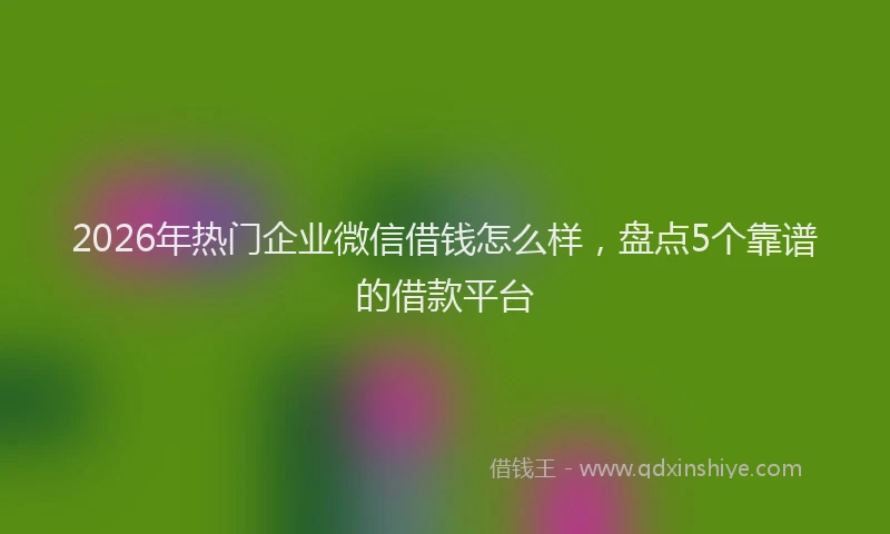 2026年热门企业微信借钱怎么样，盘点5个靠谱的借款平台