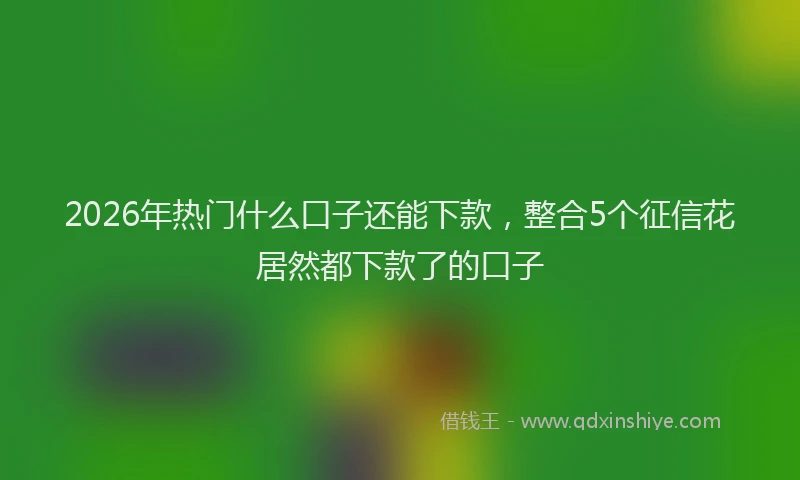 2026年热门什么口子还能下款，整合5个征信花居然都下款了的口子