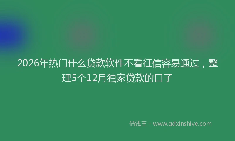 2026年热门什么贷款软件不看征信容易通过，整理5个12月独家贷款的口子