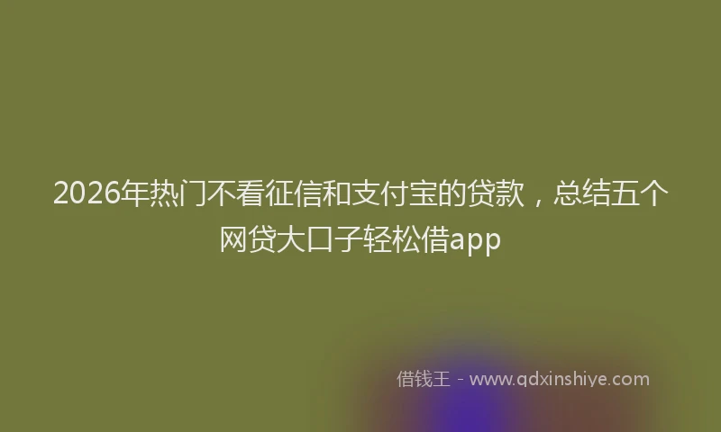 2026年热门不看征信和支付宝的贷款，总结五个网贷大口子轻松借app