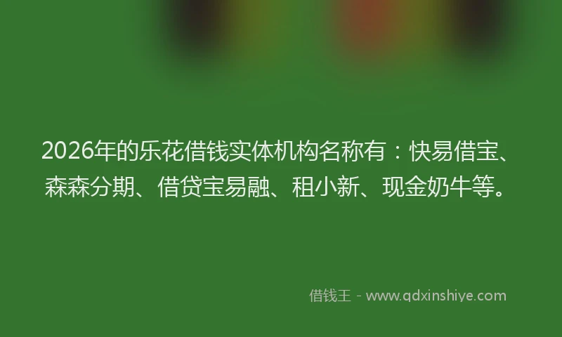 2026年的乐花借钱实体机构名称有：快易借宝、森森分期、借贷宝易融、租小新、现金奶牛等。