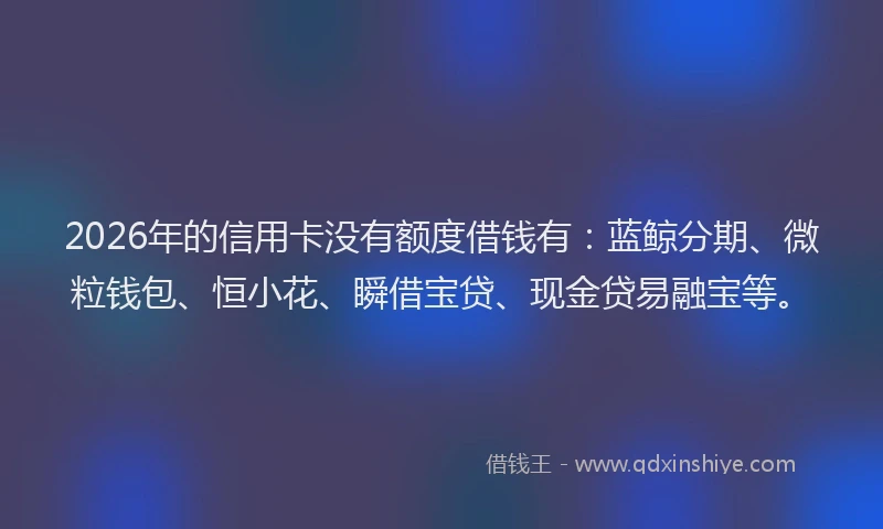 2026年的信用卡没有额度借钱有：蓝鲸分期、微粒钱包、恒小花、瞬借宝贷、现金贷易融宝等。
