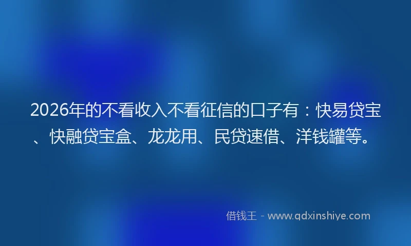 2026年的不看收入不看征信的口子有：快易贷宝、快融贷宝盒、龙龙用、民贷速借、洋钱罐等。