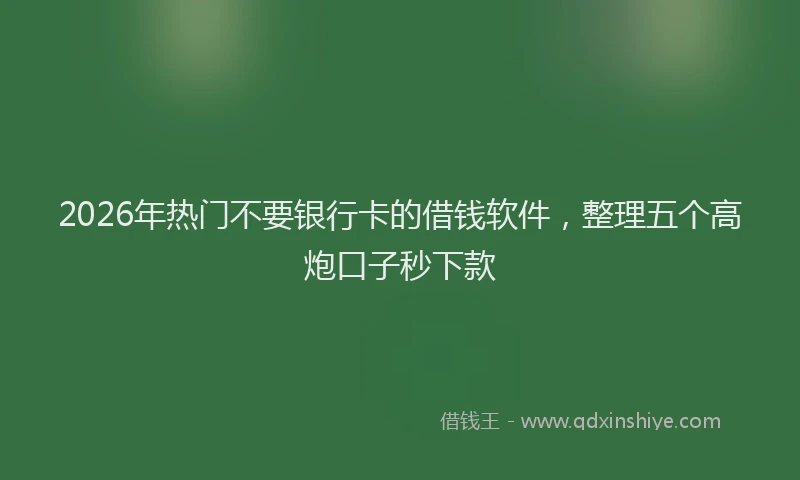 2026年热门不要银行卡的借钱软件，整理五个高炮口子秒下款