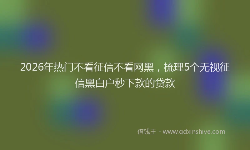 2026年热门不看征信不看网黑，梳理5个无视征信黑白户秒下款的贷款