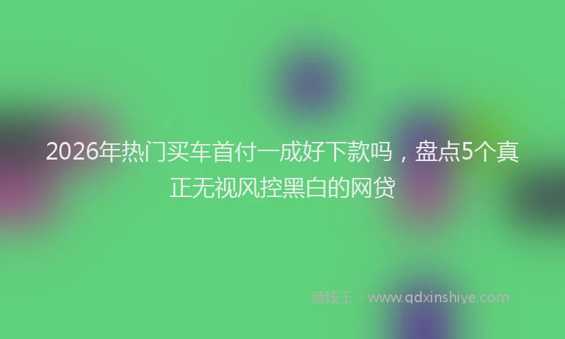 2026年热门买车首付一成好下款吗，盘点5个真正无视风控黑白的网贷