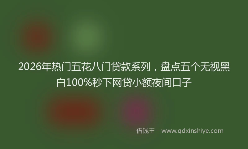2026年热门五花八门贷款系列，盘点五个无视黑白100%秒下网贷小额夜间口子