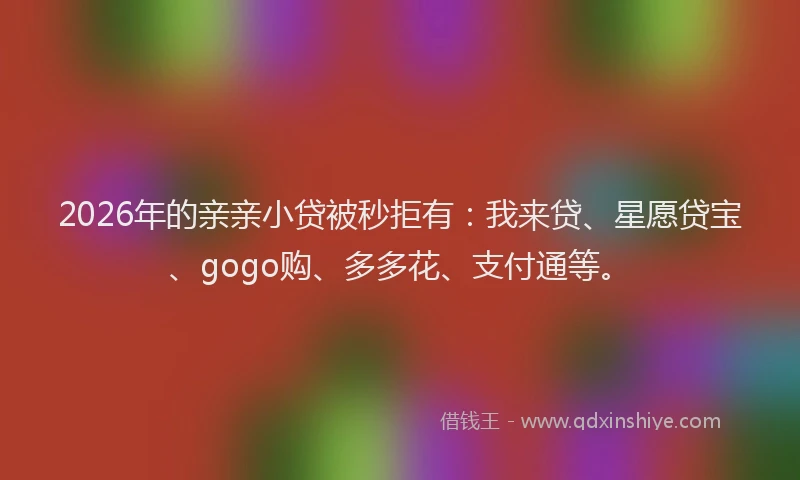 2026年的亲亲小贷被秒拒有：我来贷、星愿贷宝、gogo购、多多花、支付通等。