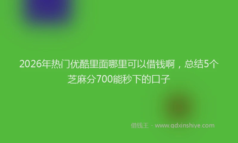 2026年热门优酷里面哪里可以借钱啊，总结5个芝麻分700能秒下的口子