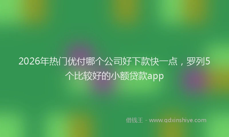 2026年热门优付哪个公司好下款快一点，罗列5个比较好的小额贷款app