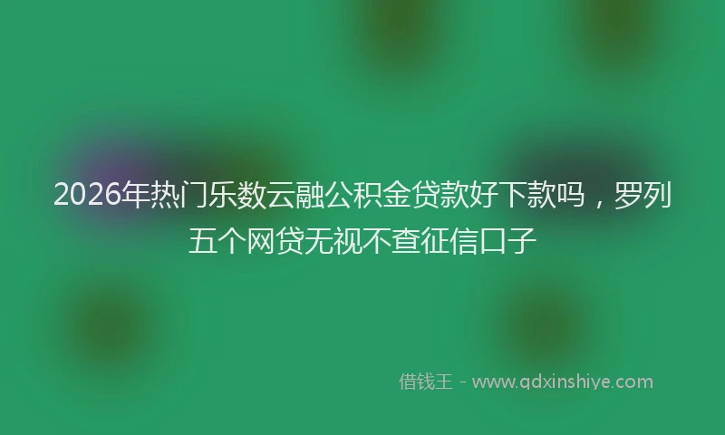 2026年热门乐数云融公积金贷款好下款吗，罗列五个网贷无视不查征信口子