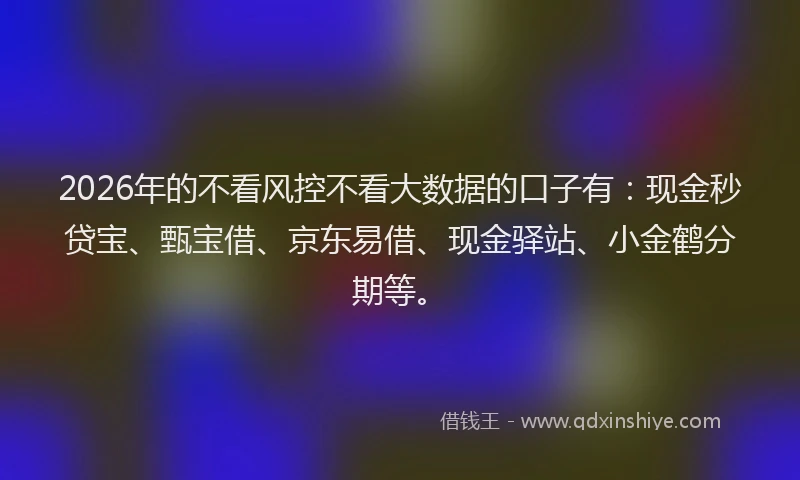 2026年的不看风控不看大数据的口子有：现金秒贷宝、甄宝借、京东易借、现金驿站、小金鹤分期等。