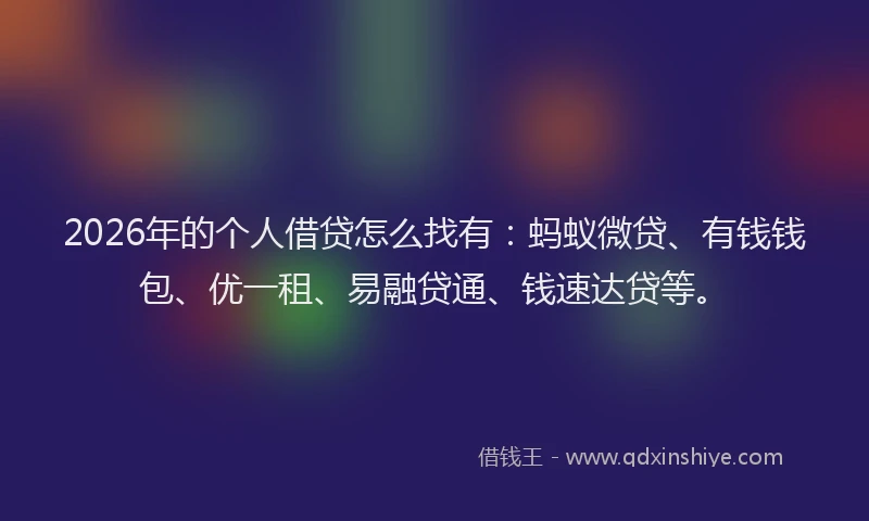 2026年的个人借贷怎么找有：蚂蚁微贷、有钱钱包、优一租、易融贷通、钱速达贷等。