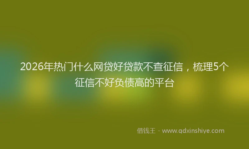 2026年热门什么网贷好贷款不查征信，梳理5个征信不好负债高的平台