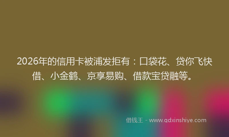 2026年的信用卡被浦发拒有：口袋花、贷你飞快借、小金鹤、京享易购、借款宝贷融等。