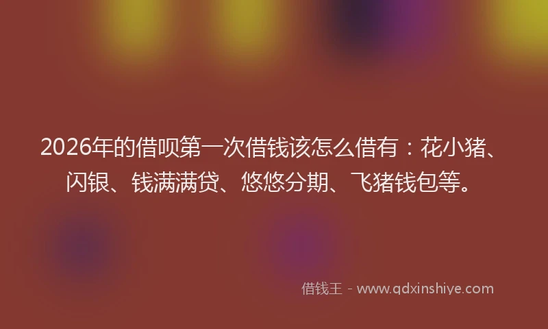 2026年的借呗第一次借钱该怎么借有：花小猪、闪银、钱满满贷、悠悠分期、飞猪钱包等。