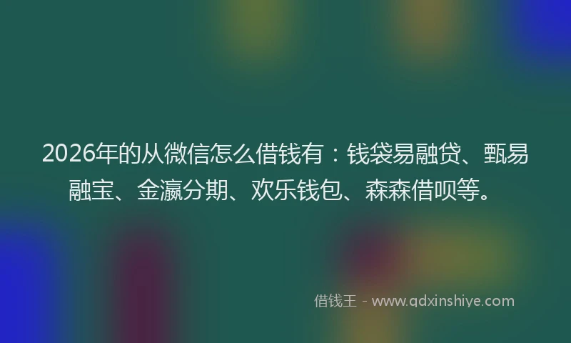 2026年的从微信怎么借钱有：钱袋易融贷、甄易融宝、金瀛分期、欢乐钱包、森森借呗等。