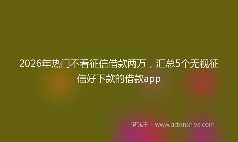 2026年热门不看征信借款两万，汇总5个无视征信好下款的借款app