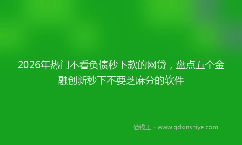2026年热门不看负债秒下款的网贷，盘点五个金融创新秒下不要芝麻分的软件