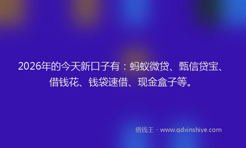 2026年的今天新口子有：蚂蚁微贷、甄信贷宝、借钱花、钱袋速借、现金盒子等。