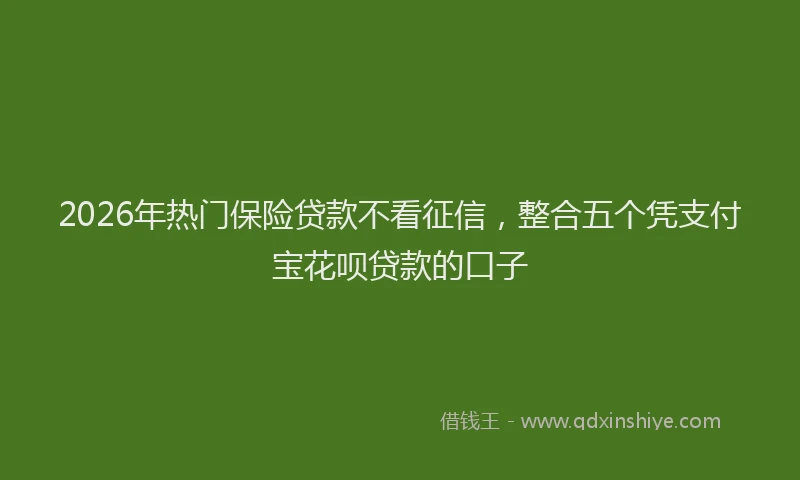 2026年热门保险贷款不看征信，整合五个凭支付宝花呗贷款的口子