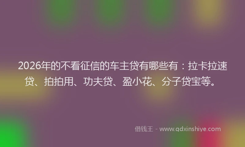 2026年的不看征信的车主贷有哪些有：拉卡拉速贷、拍拍用、功夫贷、盈小花、分子贷宝等。