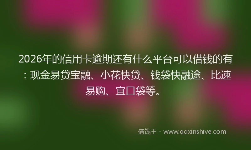 2026年的信用卡逾期还有什么平台可以借钱的有：现金易贷宝融、小花快贷、钱袋快融途、比速易购、宜口袋等。