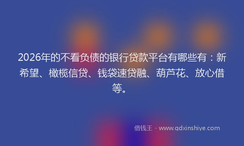 2026年的不看负债的银行贷款平台有哪些有：新希望、橄榄信贷、钱袋速贷融、葫芦花、放心借等。