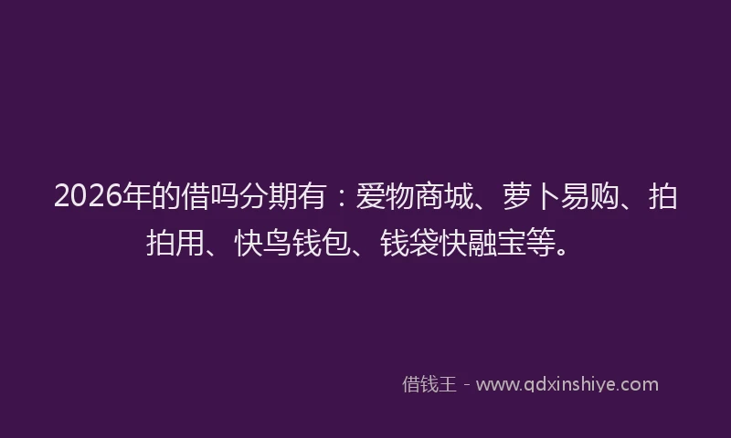 2026年的借吗分期有：爱物商城、萝卜易购、拍拍用、快鸟钱包、钱袋快融宝等。