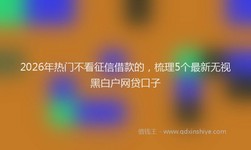 2026年热门不看征信借款的，梳理5个最新无视黑白户网贷口子
