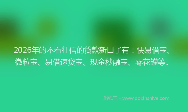 2026年的不看征信的贷款新口子有：快易借宝、微粒宝、易借速贷宝、现金秒融宝、零花罐等。