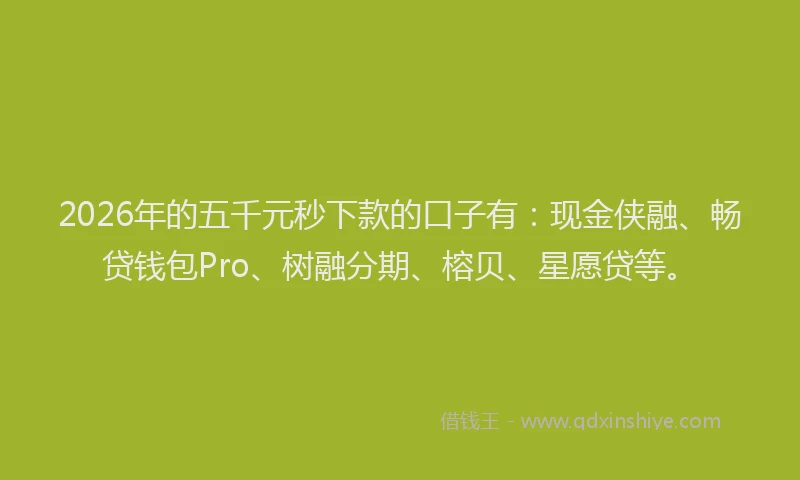 2026年的五千元秒下款的口子有：现金侠融、畅贷钱包Pro、树融分期、榕贝、星愿贷等。