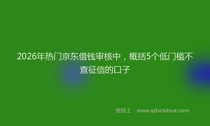 2026年热门京东借钱审核中，概括5个低门槛不查征信的口子