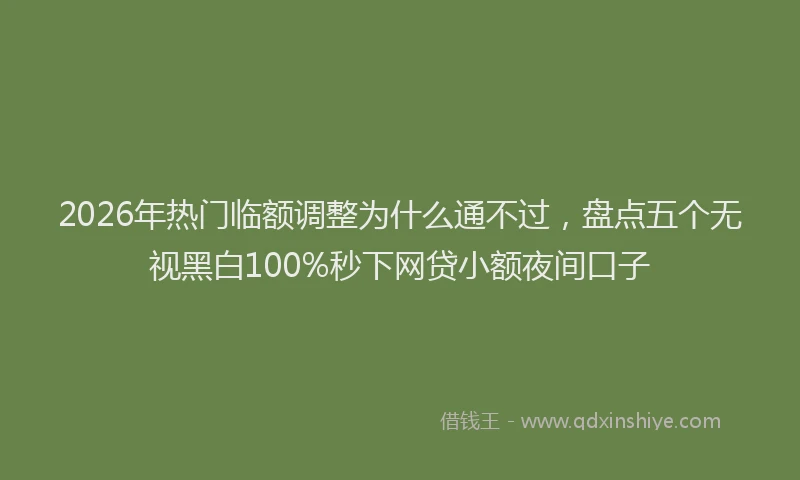 2026年热门临额调整为什么通不过，盘点五个无视黑白100%秒下网贷小额夜间口子