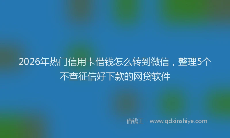 2026年热门信用卡借钱怎么转到微信，整理5个不查征信好下款的网贷软件