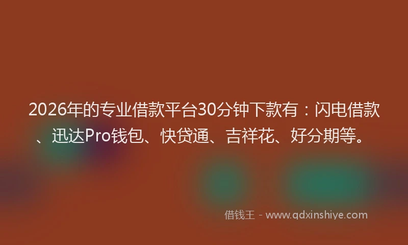 2026年的专业借款平台30分钟下款有：闪电借款、迅达Pro钱包、快贷通、吉祥花、好分期等。