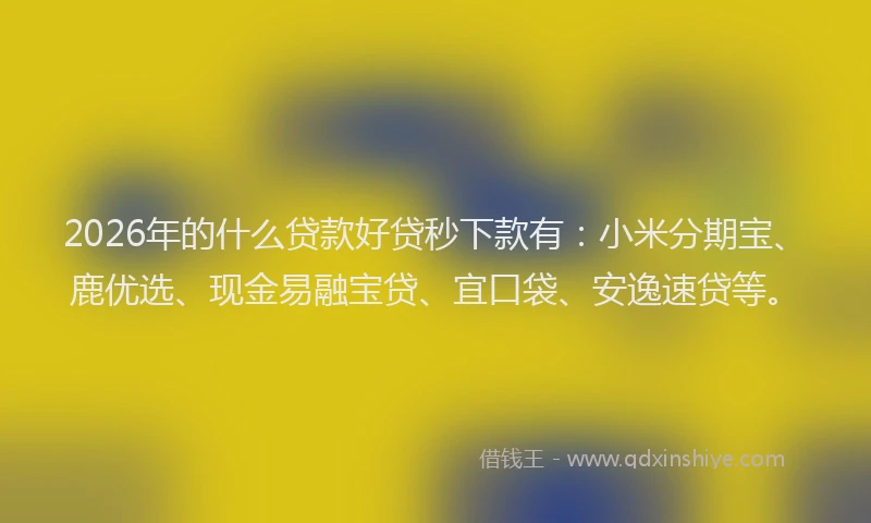 2026年的什么贷款好贷秒下款有：小米分期宝、鹿优选、现金易融宝贷、宜口袋、安逸速贷等。