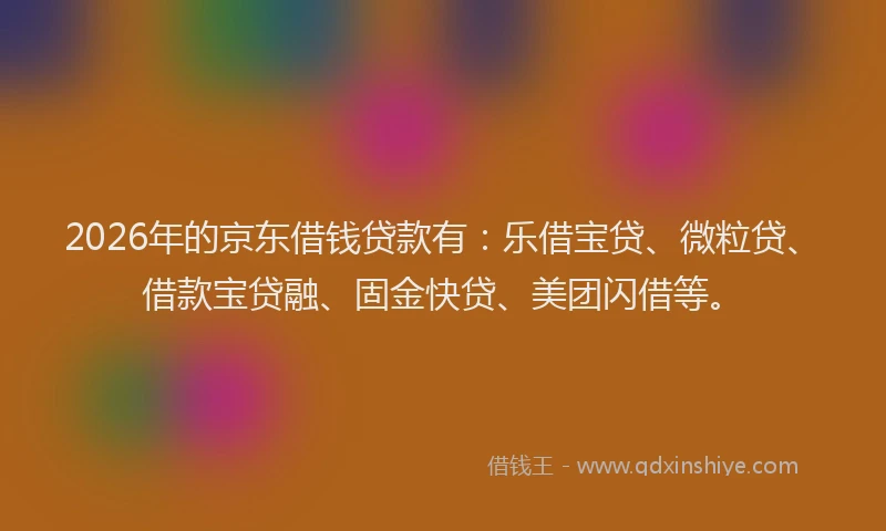 2026年的京东借钱贷款有：乐借宝贷、微粒贷、借款宝贷融、固金快贷、美团闪借等。