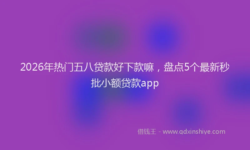 2026年热门五八贷款好下款嘛，盘点5个最新秒批小额贷款app