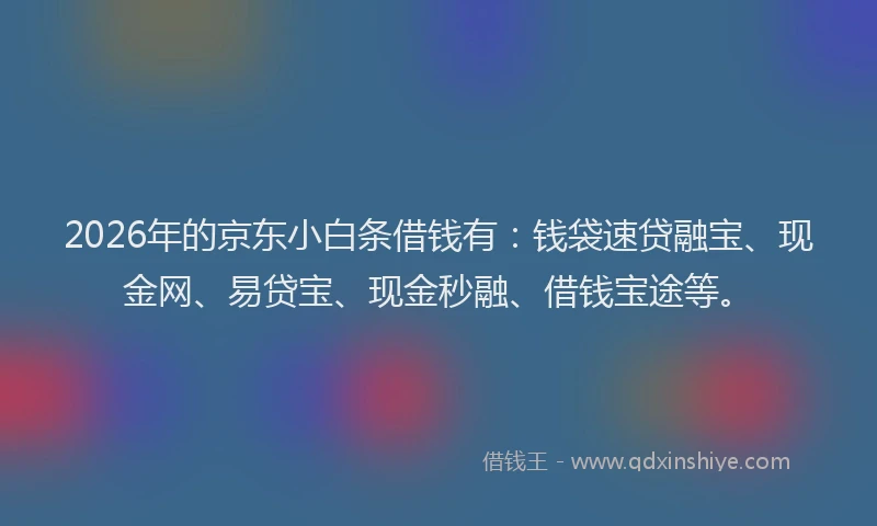 2026年的京东小白条借钱有：钱袋速贷融宝、现金网、易贷宝、现金秒融、借钱宝途等。