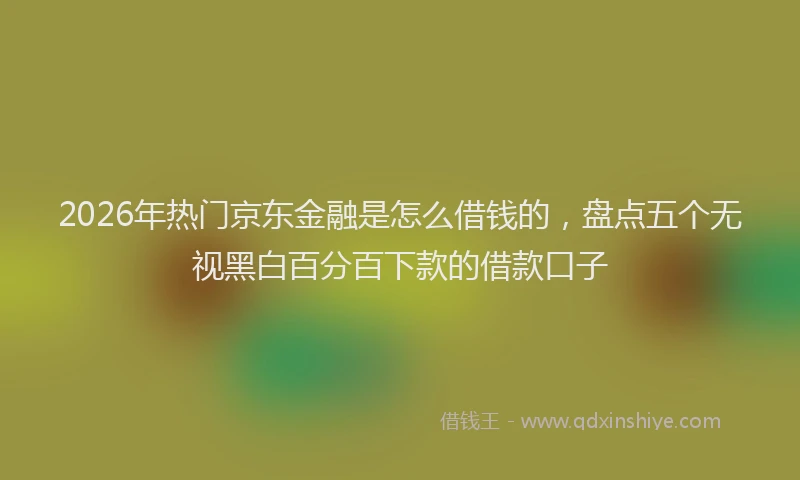 2026年热门京东金融是怎么借钱的，盘点五个无视黑白百分百下款的借款口子