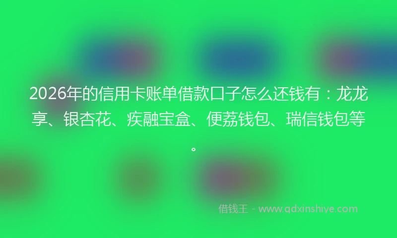 2026年的信用卡账单借款口子怎么还钱有：龙龙享、银杏花、疾融宝盒、便荔钱包、瑞信钱包等。