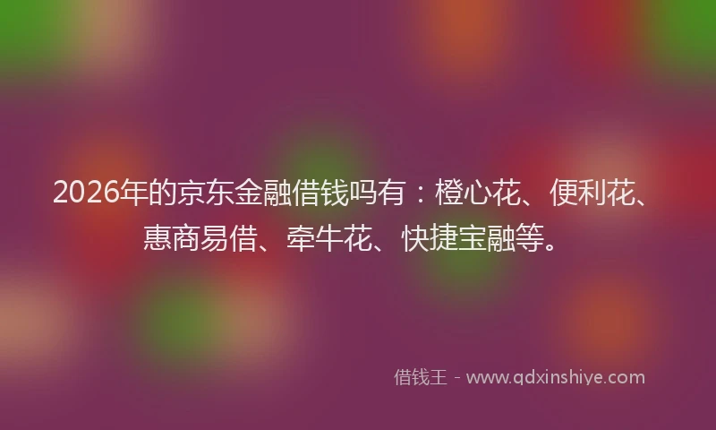 2026年的京东金融借钱吗有：橙心花、便利花、惠商易借、牵牛花、快捷宝融等。