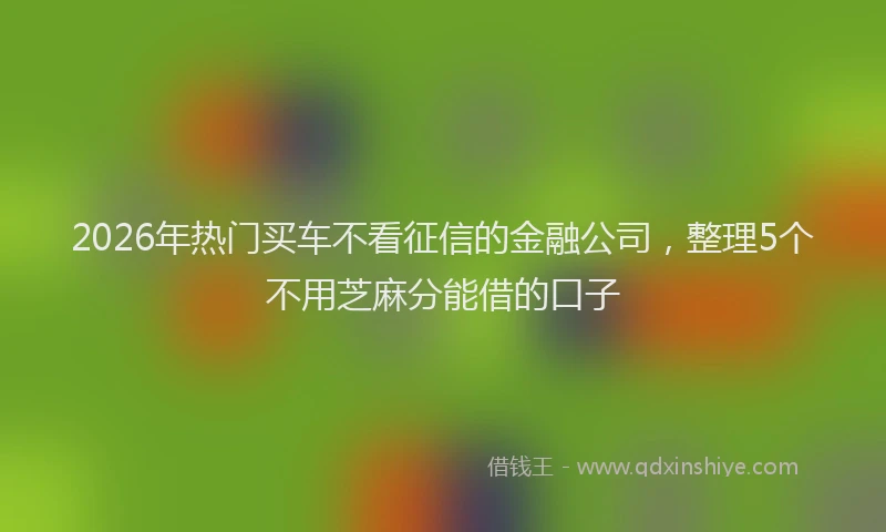 2026年热门买车不看征信的金融公司，整理5个不用芝麻分能借的口子